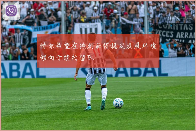 特尔希望在热刺获得稳定发展环境倾向于续约留队
